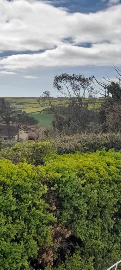 Bed and Breakfast Little Orchard House Salcombe Esterno foto